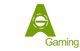 Authentic Gaming