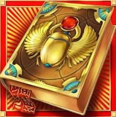 Book of Dead Wild Symbol