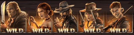Dead or Alive 2 wildsymbol 