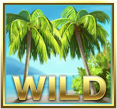 Wild med re-spin i Mega Fortune Dreams